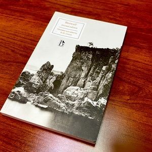 Beowulf Second Edition, translated and edited by RM Liuzza